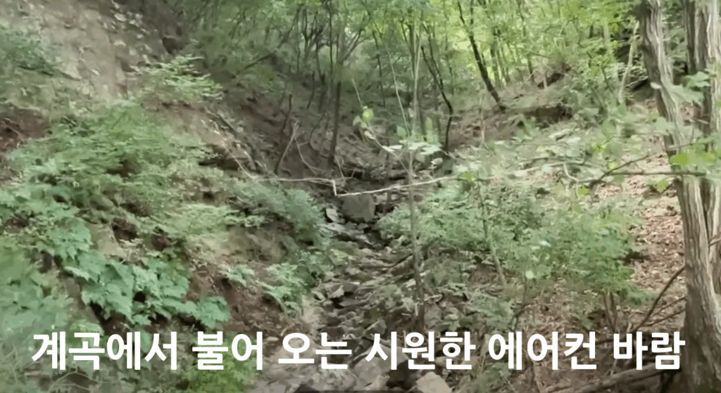 월류봉 둘레길 - 4계절 명품 강변 숲길 힐링트레킹 6 월류봉 둘레길 2구간 시원한 에어컨 바람