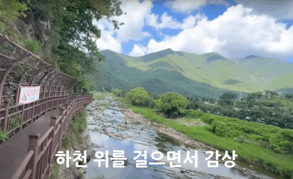 월류봉 둘레길 - 4계절 명품 강변 숲길 힐링트레킹 7 2구간 하천위를 걷는 감상