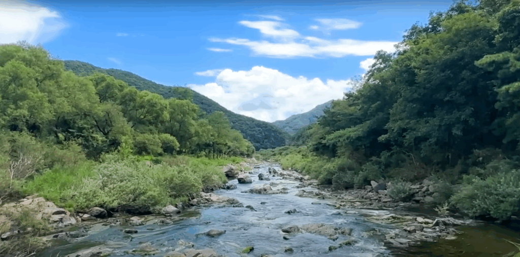 월류봉 둘레길 - 4계절 명품 강변 숲길 힐링트레킹 14 냇가풍경