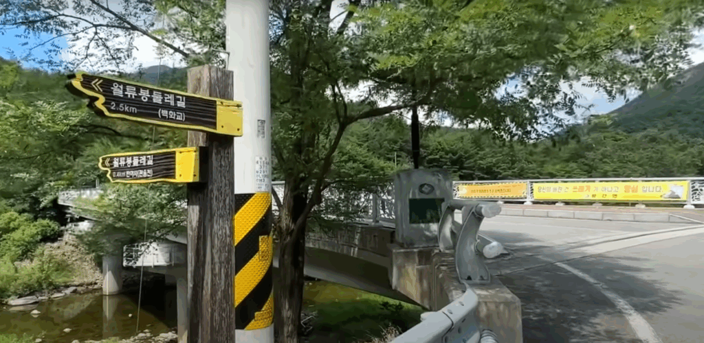 월류봉 둘레길 - 4계절 명품 강변 숲길 힐링트레킹 15 반야