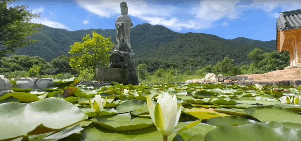 월류봉 둘레길 - 4계절 명품 강변 숲길 힐링트레킹 16 연못