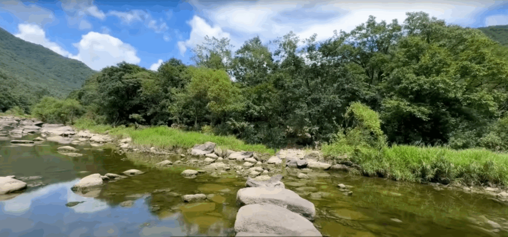 월류봉 둘레길 - 4계절 명품 강변 숲길 힐링트레킹 13 징검다리길