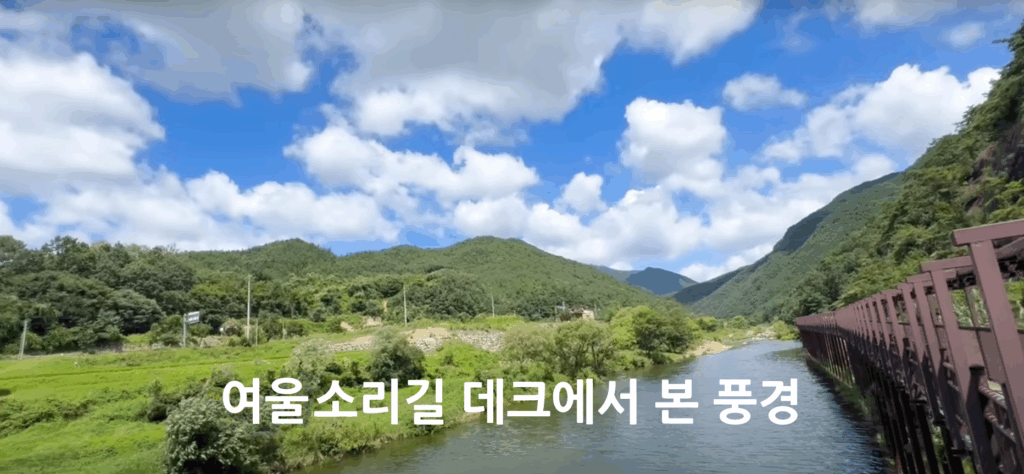 월류봉 둘레길 - 4계절 명품 강변 숲길 힐링트레킹 4 월류봉 둘레길 여울소리길 데크풍경